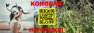 ALPHA PVP Балашиха