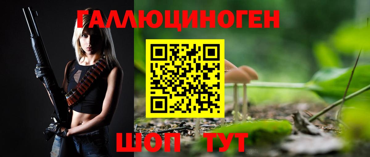 Галлюциногенные грибы Cubensis  Вход с VPN  Димитровград 