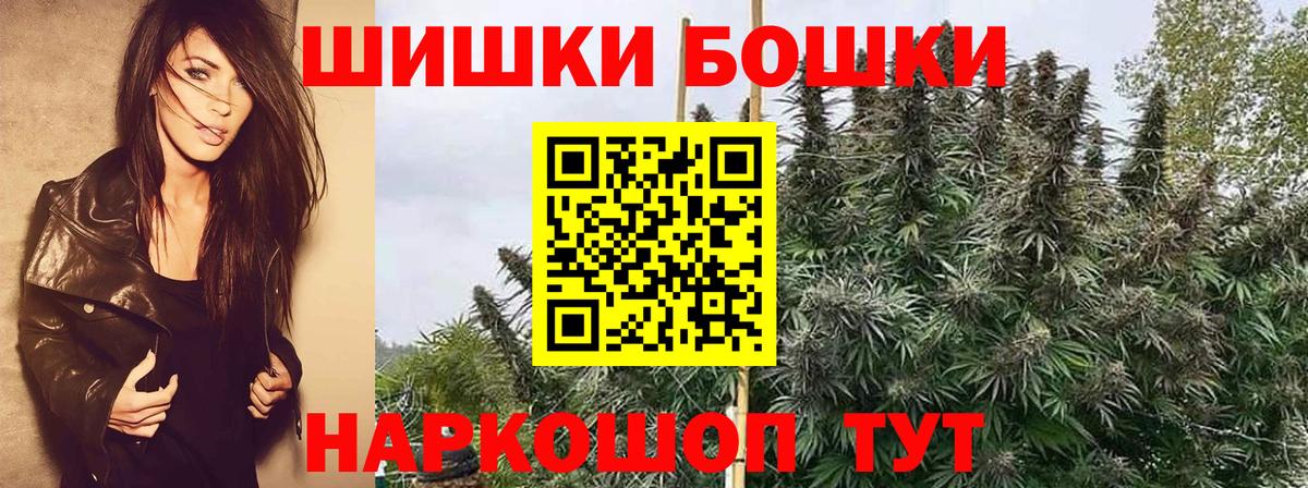 Бошки Шишки Amnesia Димитровград